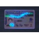 BRITISH COLUMBIA FAKE ID (2025 VERSION)