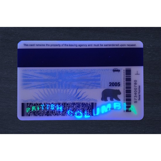 BRITISH COLUMBIA FAKE ID (2025 VERSION)