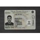 New York Fake ID (2025 Version)