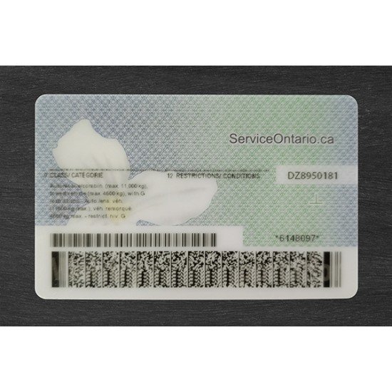 Ontario Fake ID (2025 version)