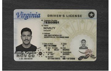 VIRGINIA FAKE ID (2025 VERSION)