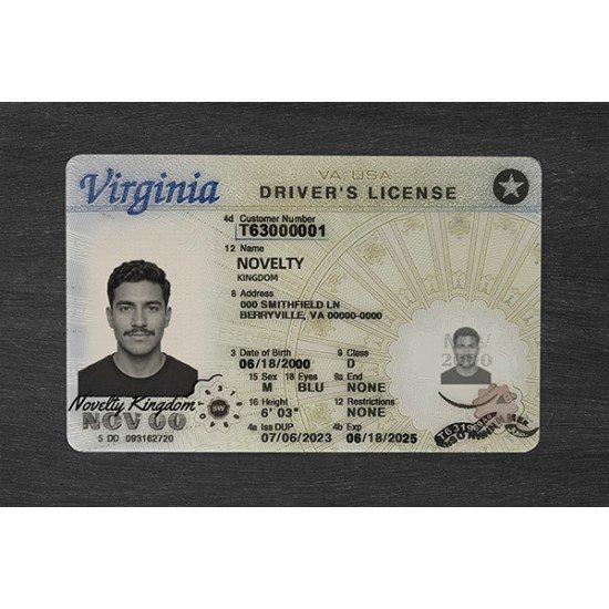 VIRGINIA FAKE ID (2025 VERSION)