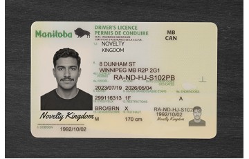 Manitoba Fake ID (2026 Version)