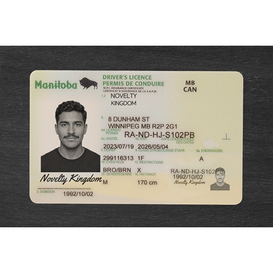 Manitoba Fake ID (2026 Version)