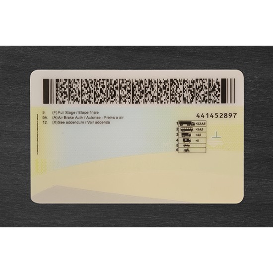 Manitoba Fake ID (2026 Version)