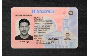 Tennessee Fake ID (2026 Version)