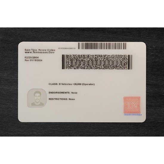 Tennessee Fake ID (2026 Version)