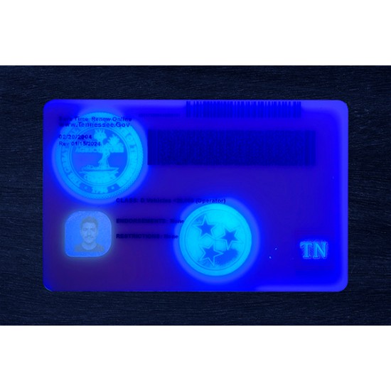Tennessee Fake ID (2026 Version)