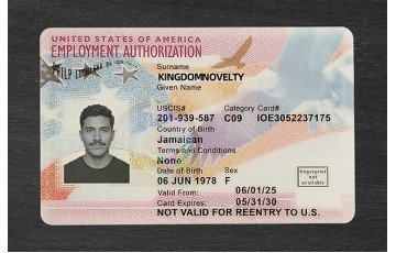 Employment Authorization Card