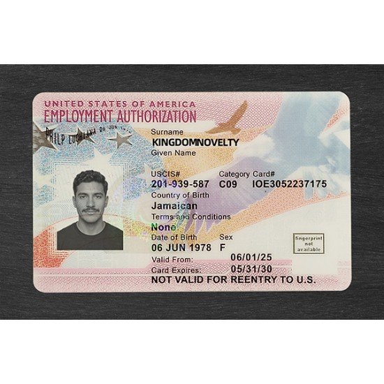 Employment Authorization Card