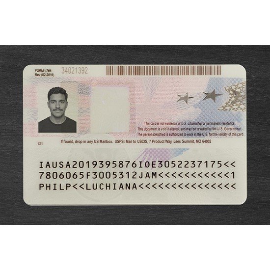 Employment Authorization Card