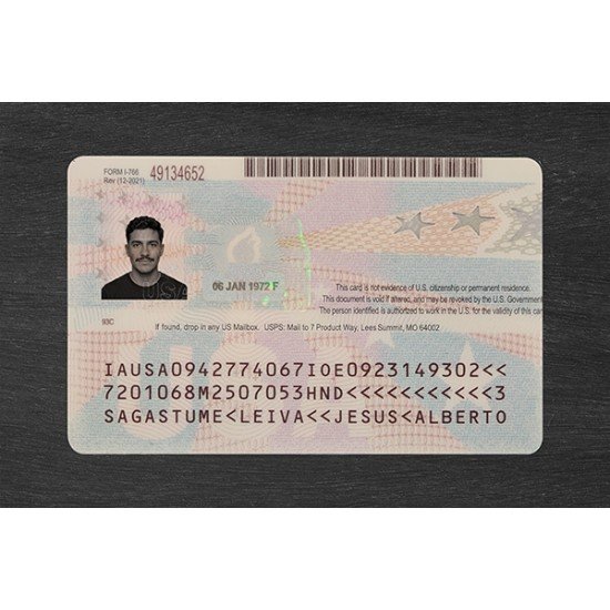 Employment Authorization Card（2026 Version）