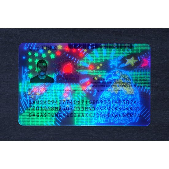 Employment Authorization Card（2026 Version）