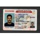 Illinois Fake ID