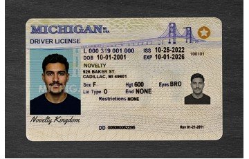 Michigan Fake ID