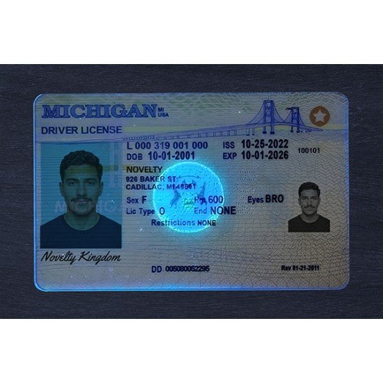 Michigan Fake ID
