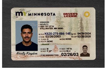 Minnesota Fake ID
