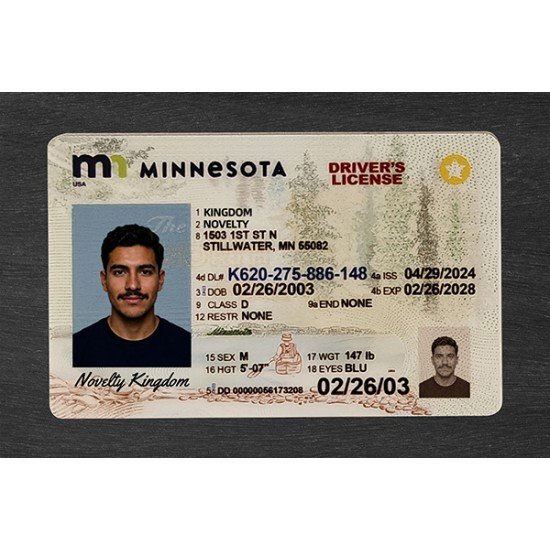 Minnesota Fake ID