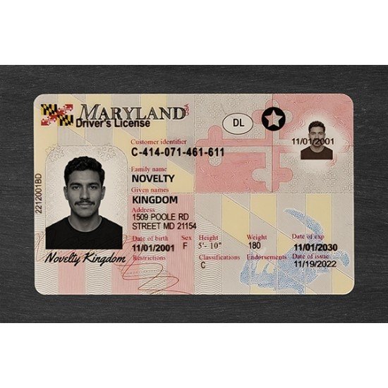 Maryland Fake ID