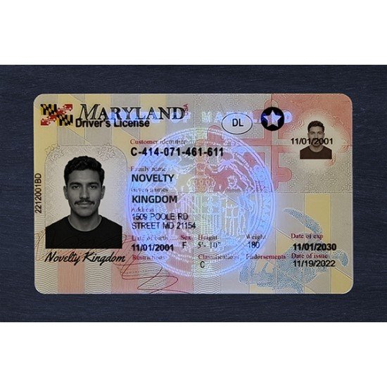 Maryland Fake ID