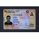 Maryland Fake ID