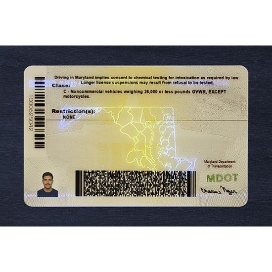 Maryland Fake ID