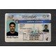 Nevada Fake ID