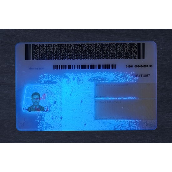 New York Fake ID