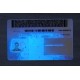 New York Fake ID