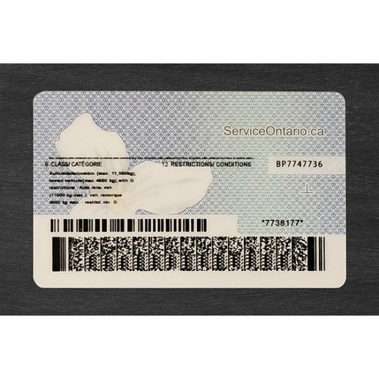 Ontario Fake ID