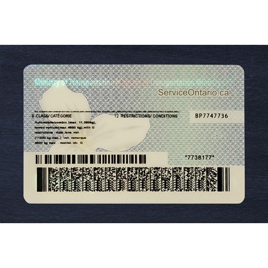 Ontario Fake ID