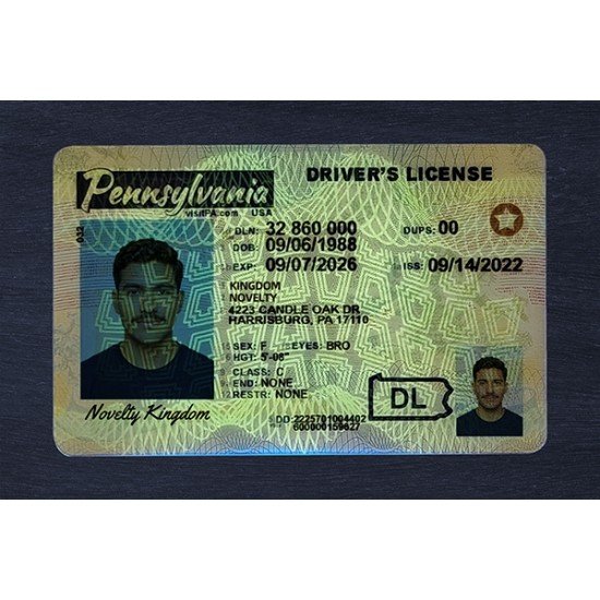 Pennsylvania Fake ID