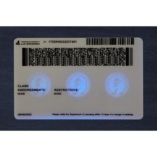 Washington Fake ID