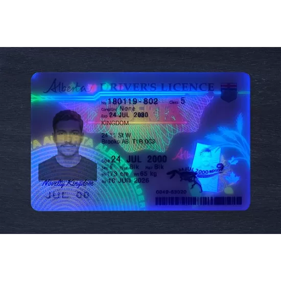 Alberta Fake ID (2026 Version)